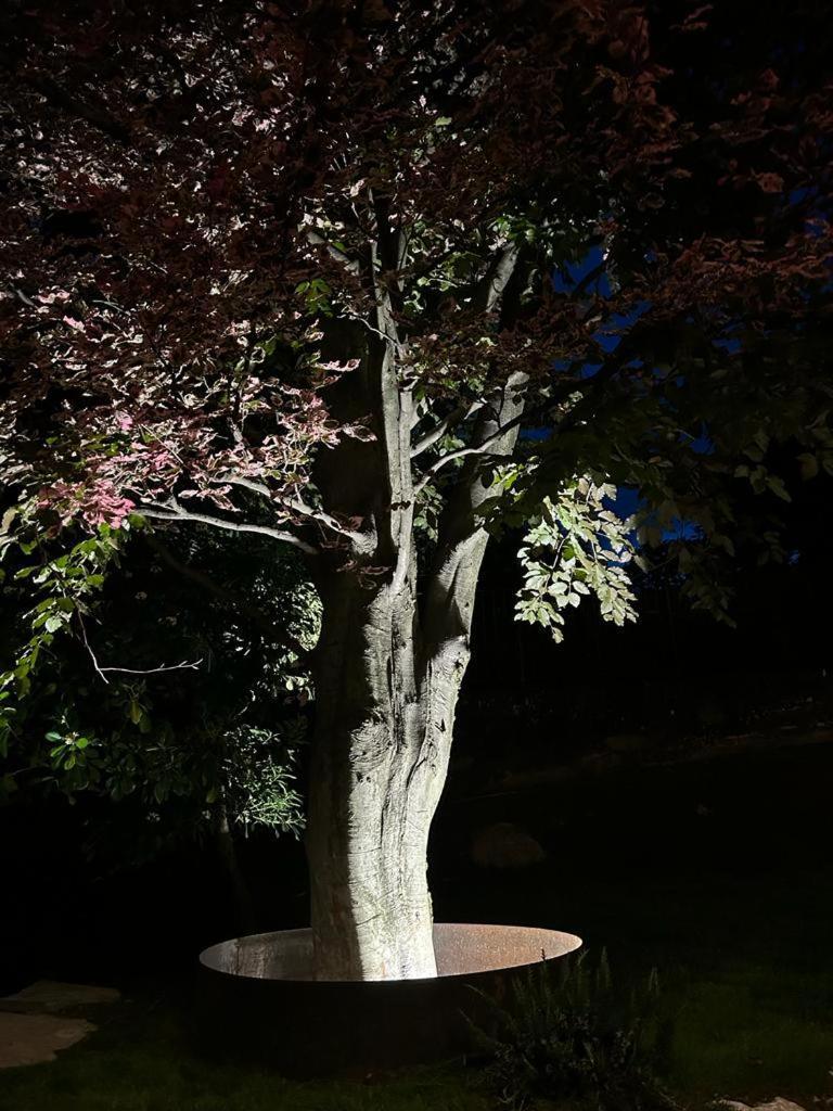 I Faggi Rossi - Red Beech Trees Βίλα Όπως Εξωτερικό φωτογραφία