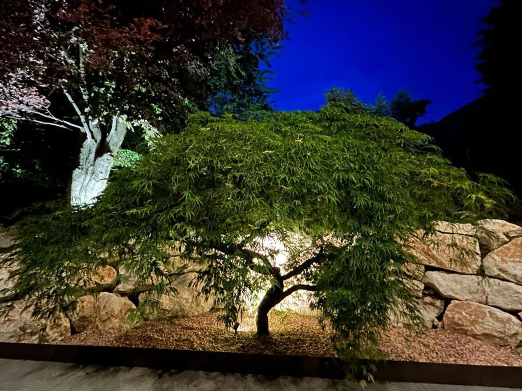 I Faggi Rossi - Red Beech Trees Βίλα Όπως Εξωτερικό φωτογραφία